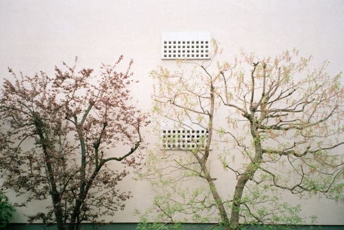Basel 2001